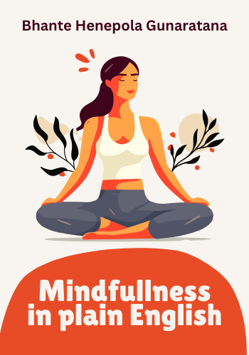 Mindfulness in Plain English book