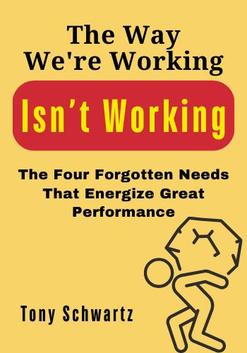 The Way We're Working Isn't Working: The Four Forgotten Needs That Energize Great Performance book