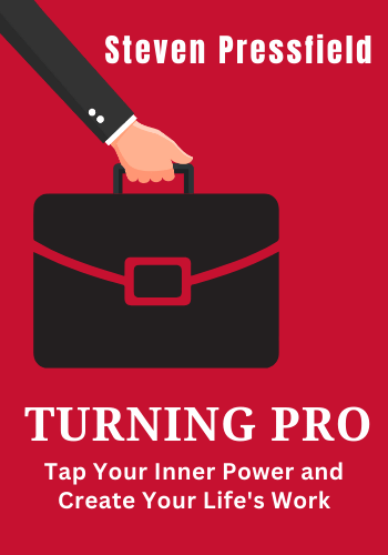 Turning Pro book