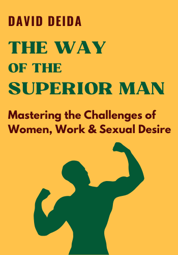 The Way of the Superior Man: A Spiritual Guide to Mastering the Challenges of Women, Work, and Sexual Desire book