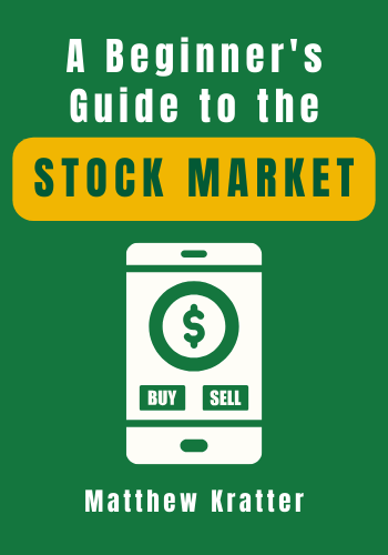 A Beginner's Guide to the Stock Market book