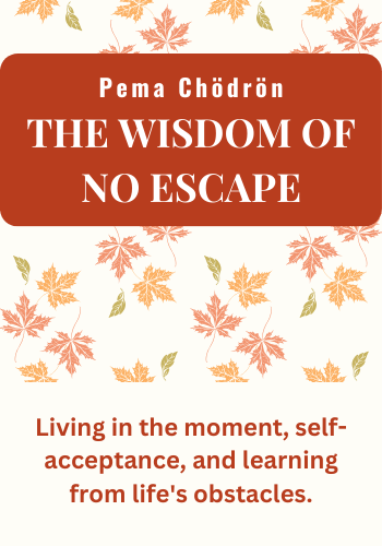 The Wisdom of No Escape: How to love yourself and your world book